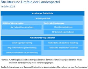 Grafik über die Struktur und das Umfeld der Landespartei
